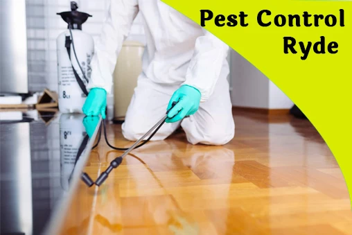 Why Opt For Our Pest Control Ryde Services?