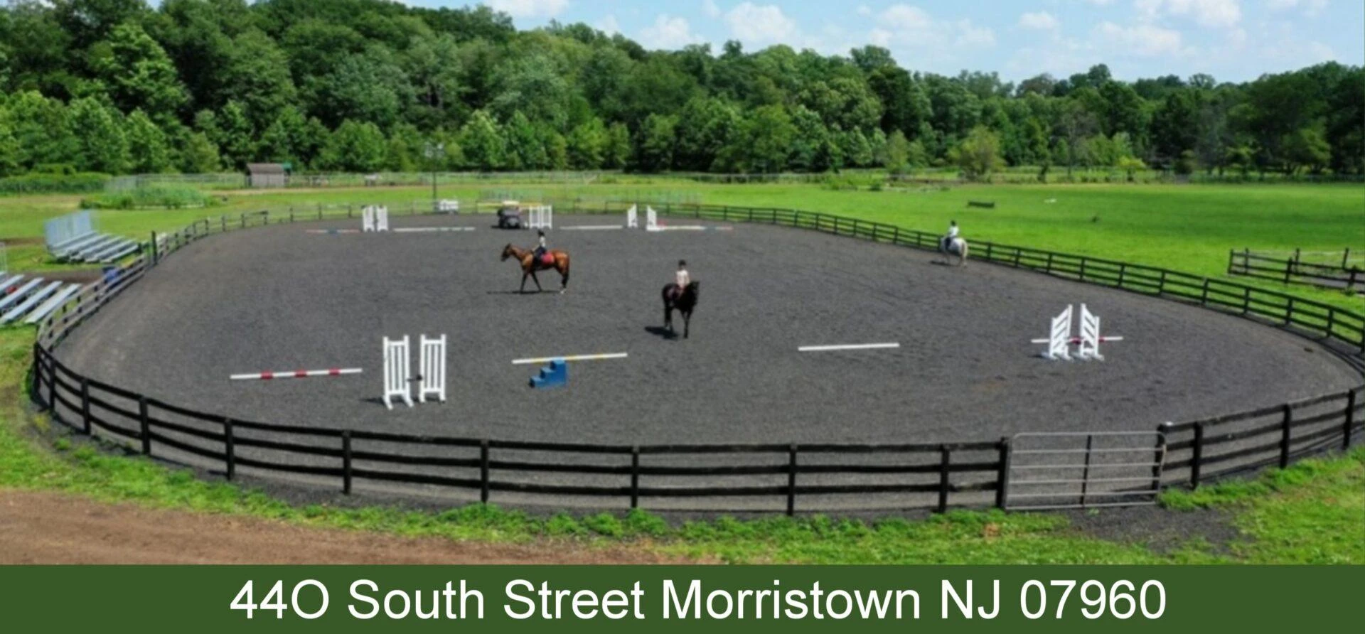 Explore the Artistry and Adventure of Horseback Riding: An Ultimate Guide