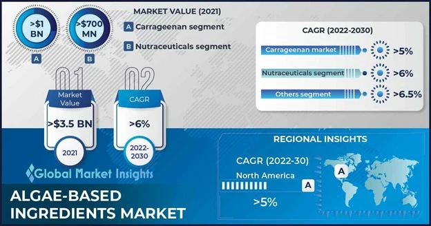 Algae-based Ingredients Market Size to Surpass US$ 6.2 Bn by 2030