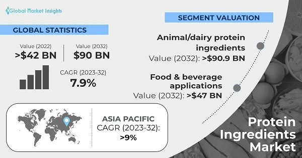 Protein Ingredients Market Size to Surpass US$ 62 Bn by 2032