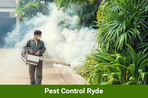 Pest Control Ryde Can Make Your Home a Sweet Home