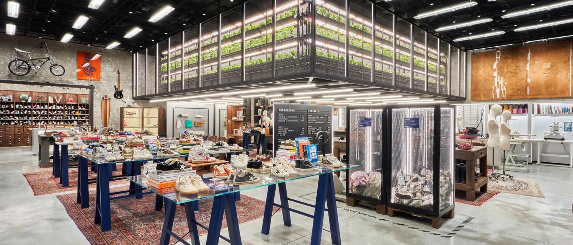 Golden Goose Femme Chaussures a shopping spree without