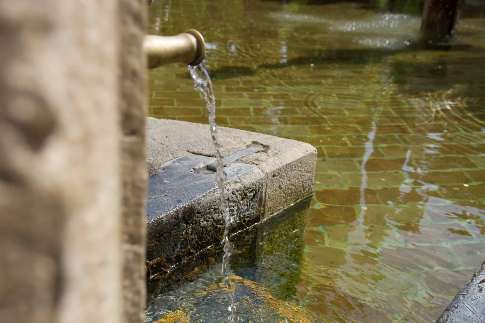 Why Water Damage Restoration is Vital in Dublin