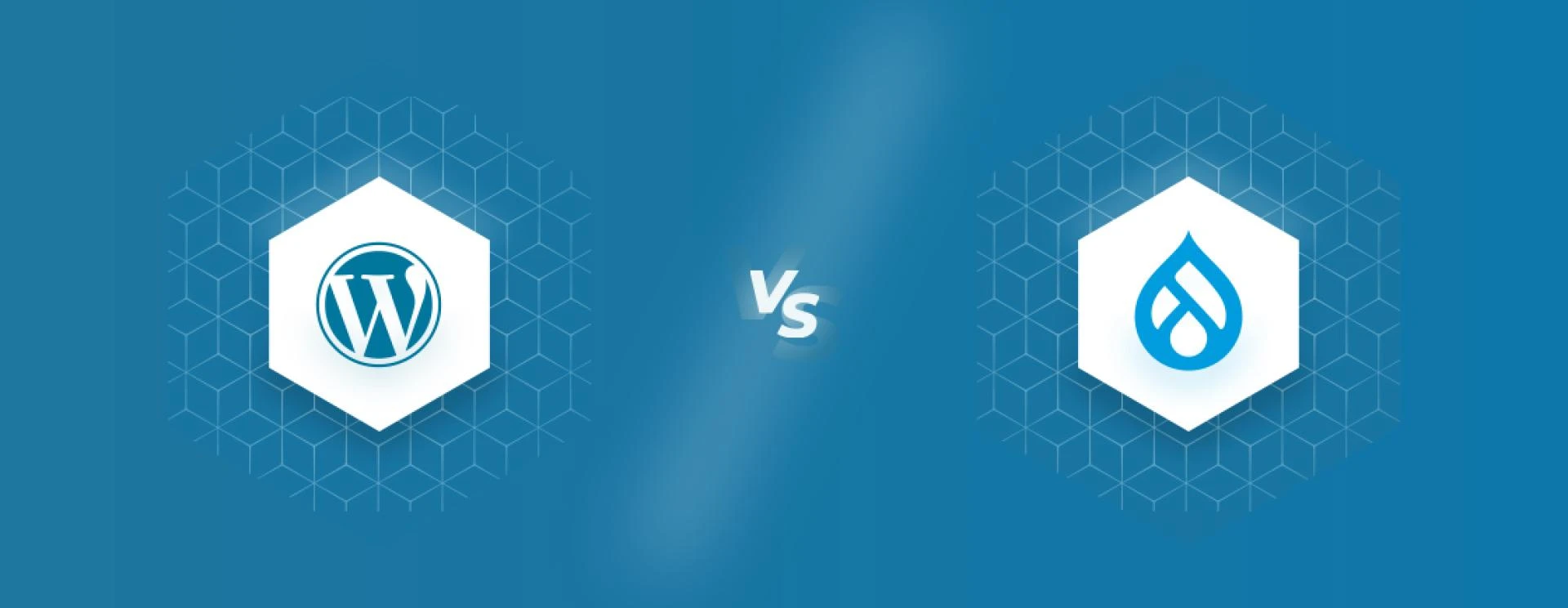 WordPress vs Drupal: Which CMS is Best For You?