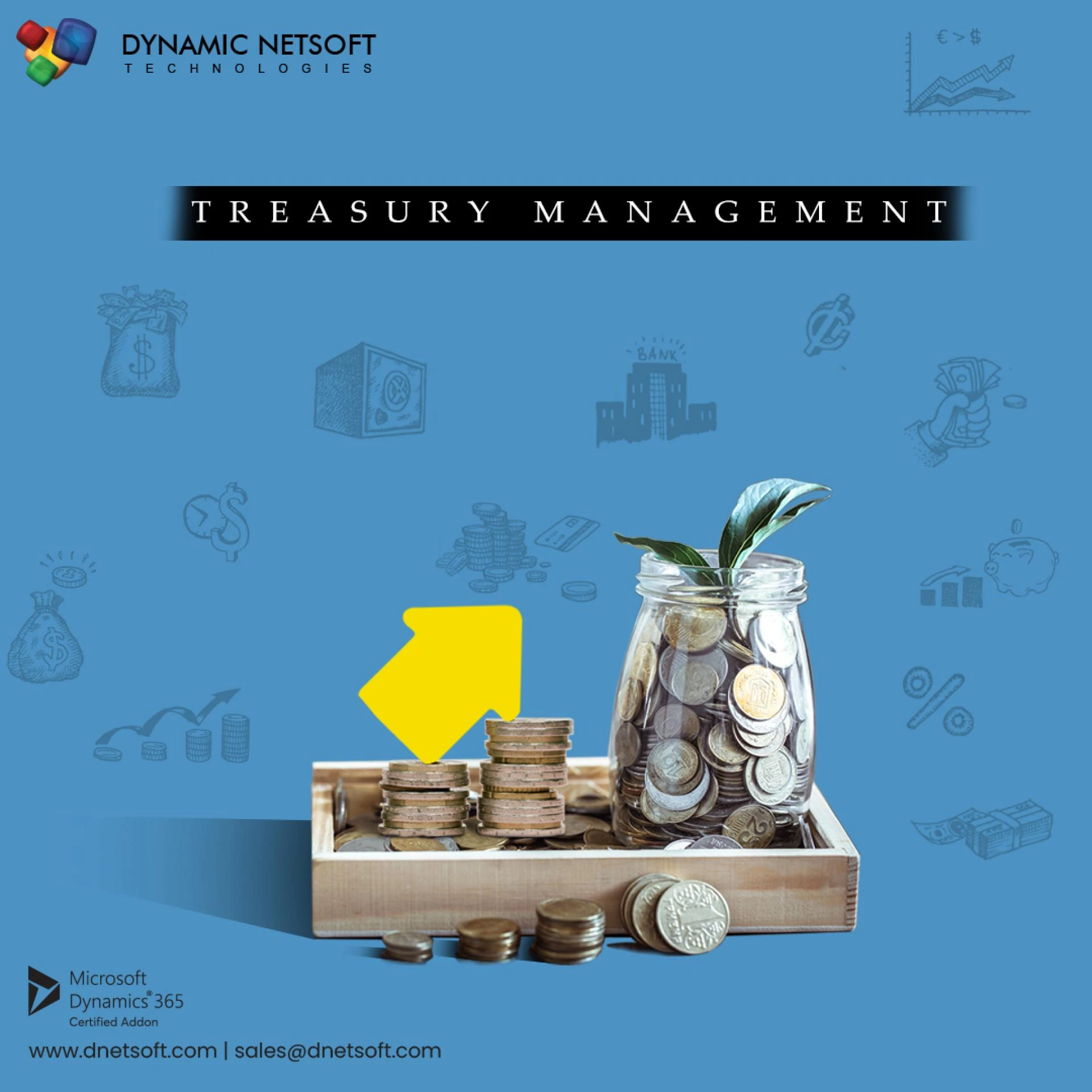 What is Treasury Management solution and its functions?