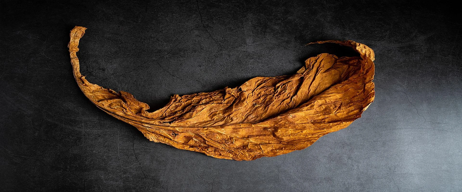 Cultivating Excellence: The Agricultural Journey Behind Fronto Leaf Production
