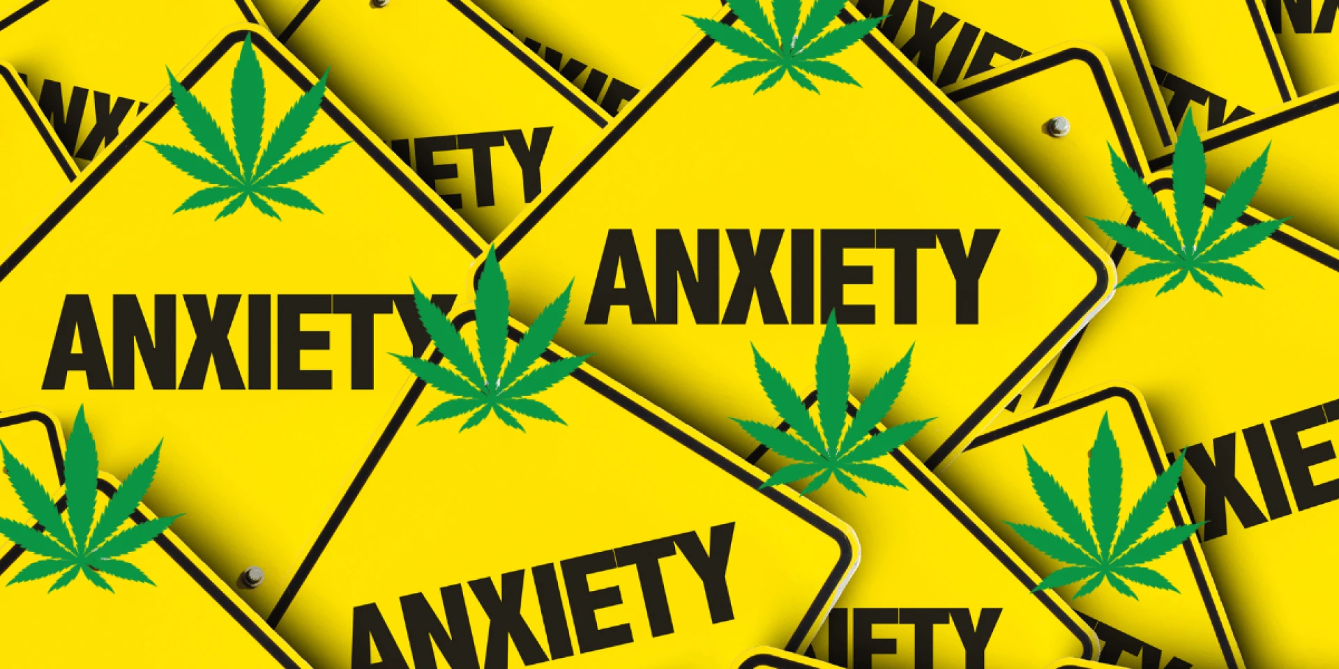 In Bulk and Beyond: Harnessing the Power of Wholesale Bud for Anxiety Wellness