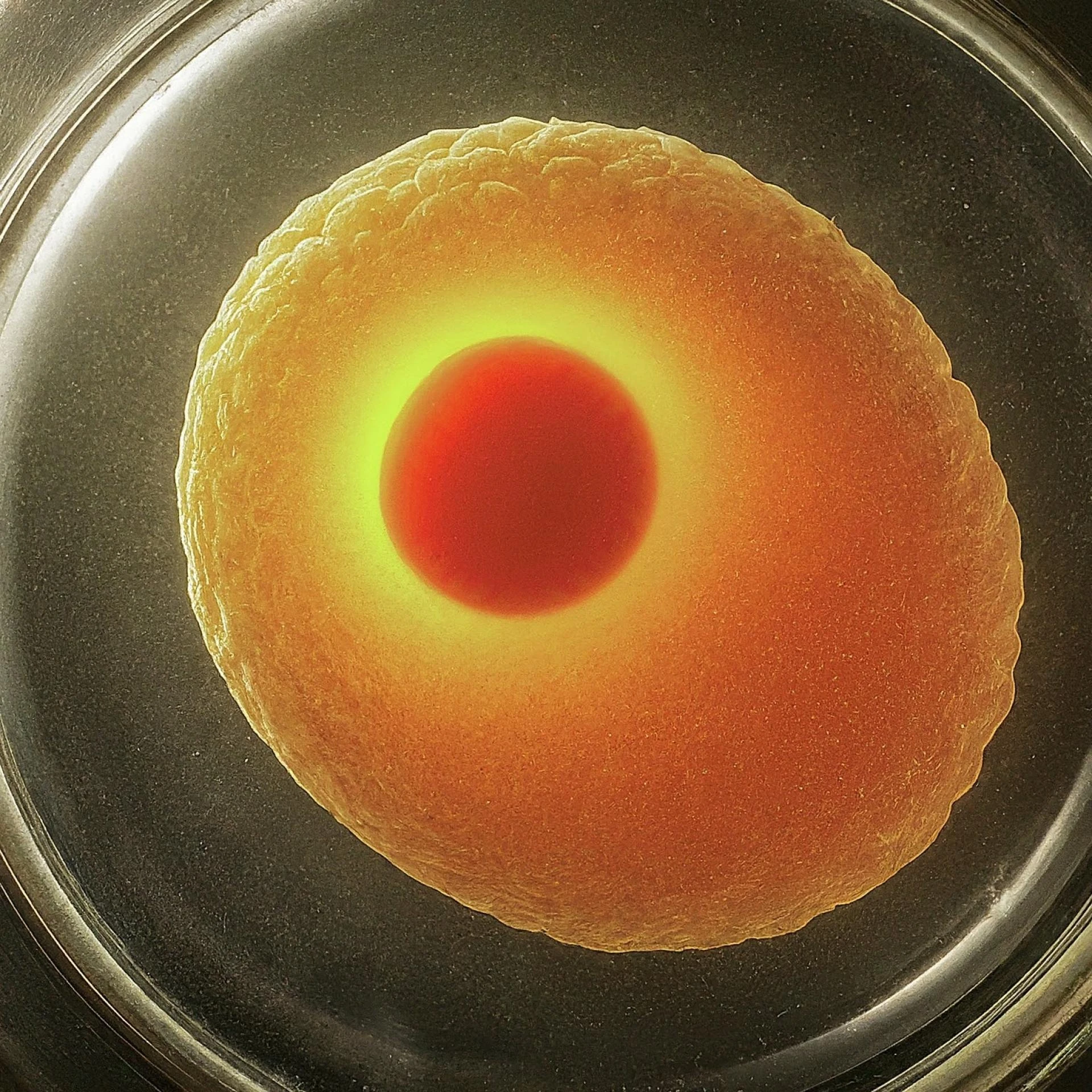 IVF SOLUTION IN PAKISTAN