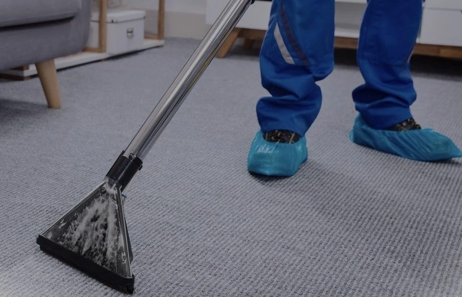 How to choose the right carpet cleaning company in Sydney