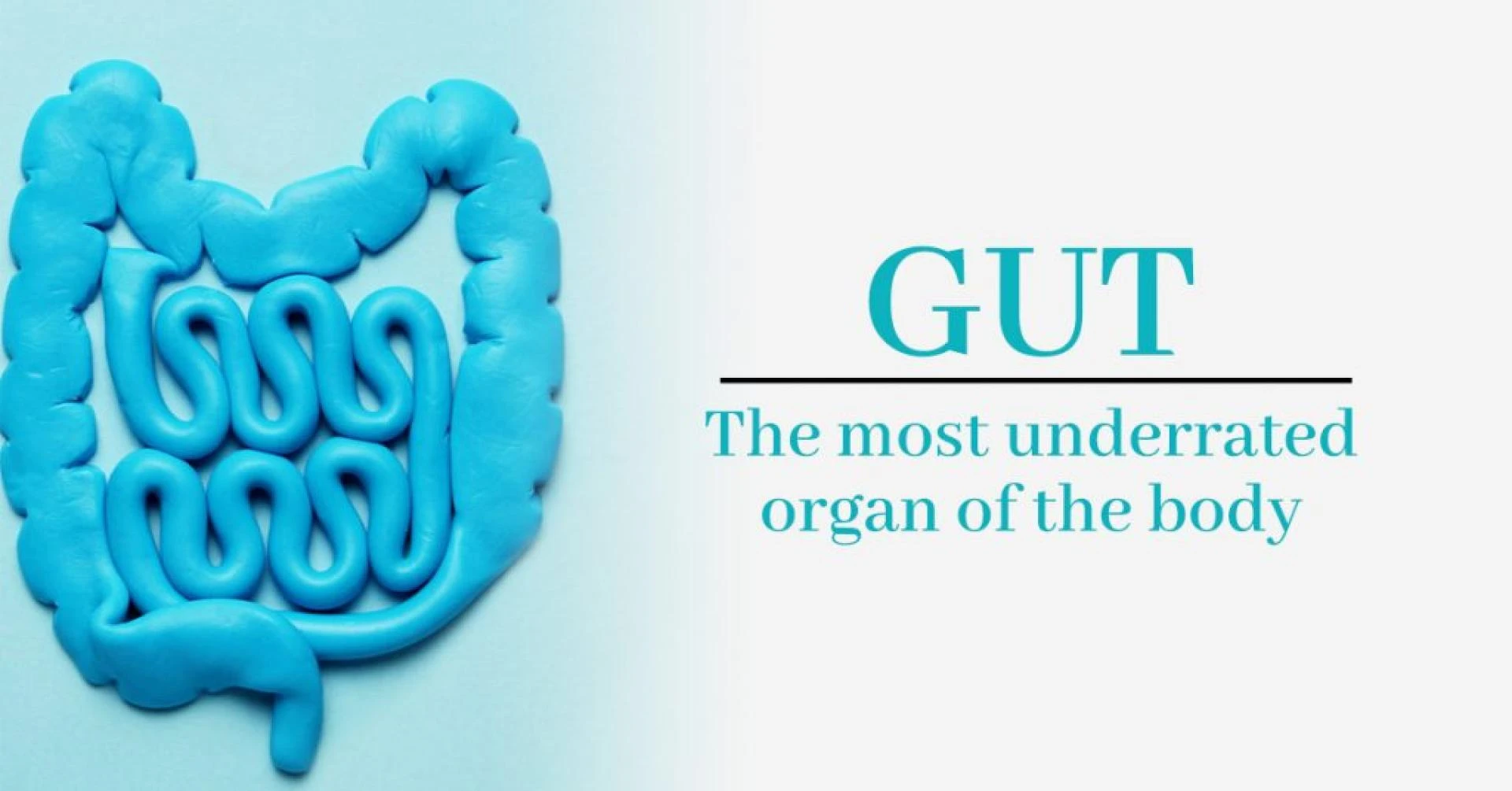 Gut – The Most Underrated Organ of the Body