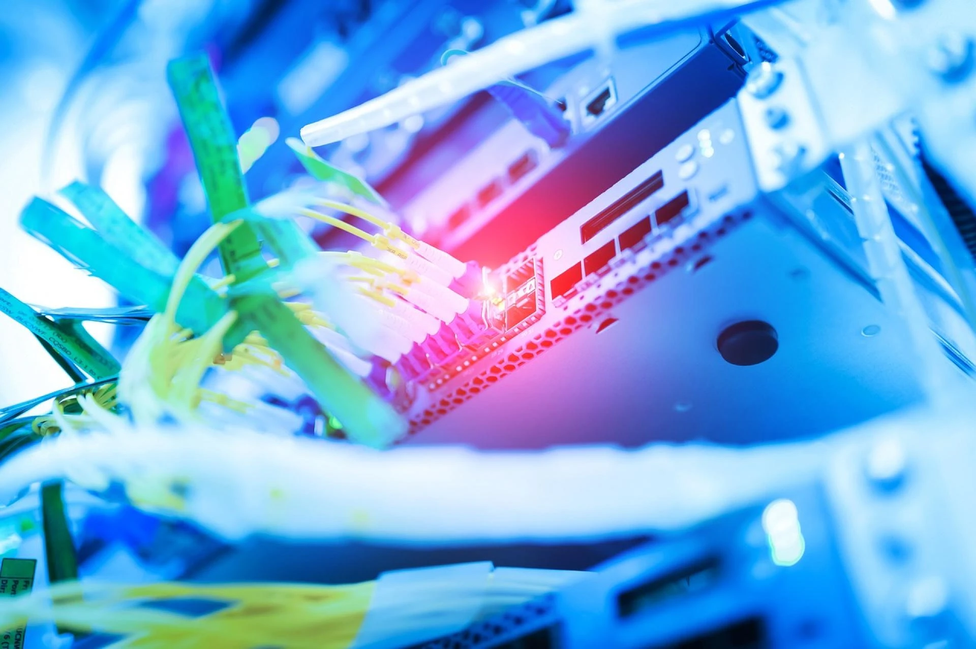 Embrace the Power of Gigabit Switches