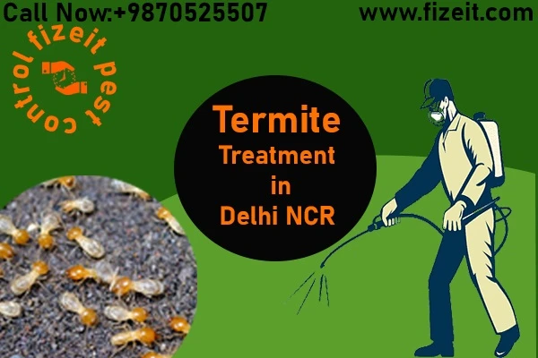 Fabulous Termite Pest Control Services in Delhi NCR
