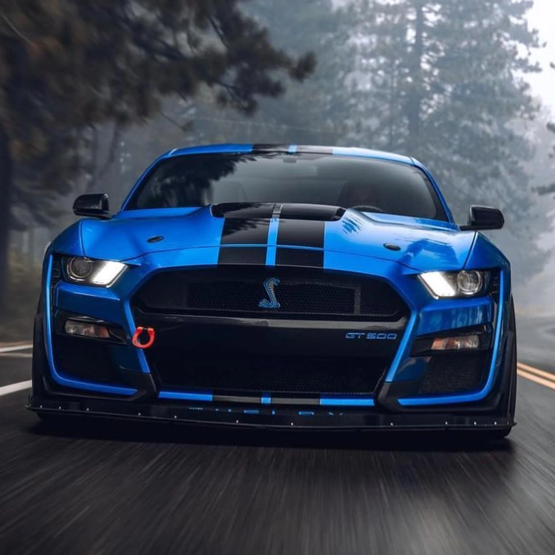 Mustang Car Rental in Houston, Texas