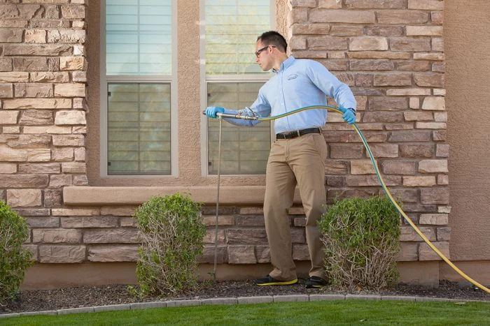 Pest Control in Lahore and Guide pest control services