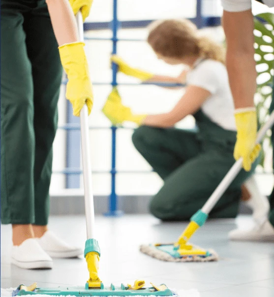 Santa Barbara Tips For Cleaning Your Carpet Effectively