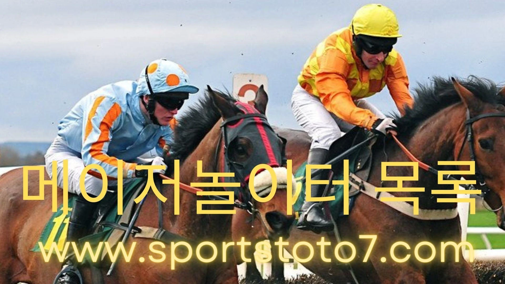 A Look at Alternatives to Horse Racing