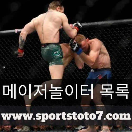 MMA: Blended Combative Techniques