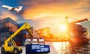 Which are the five Reasons for the growth of the import-export sector?