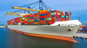 Different types of Government Benefit you get in Export