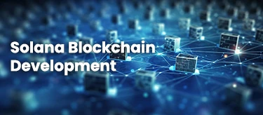 Solana Blockchain Development: A Comprehensive Guide