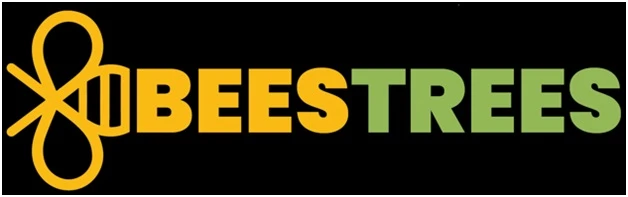 Tree Service near You: Professional and Reliable Tree Care with Beestrees