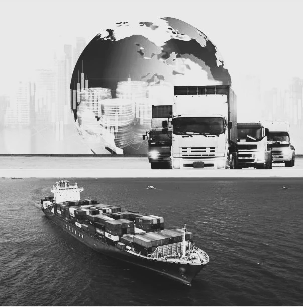 Top 10 Transport Companies in Delhi