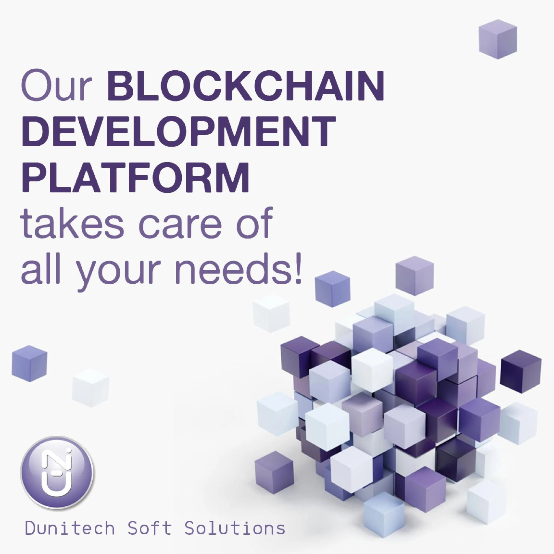 you need web development services CMS customisation application development blockchain development