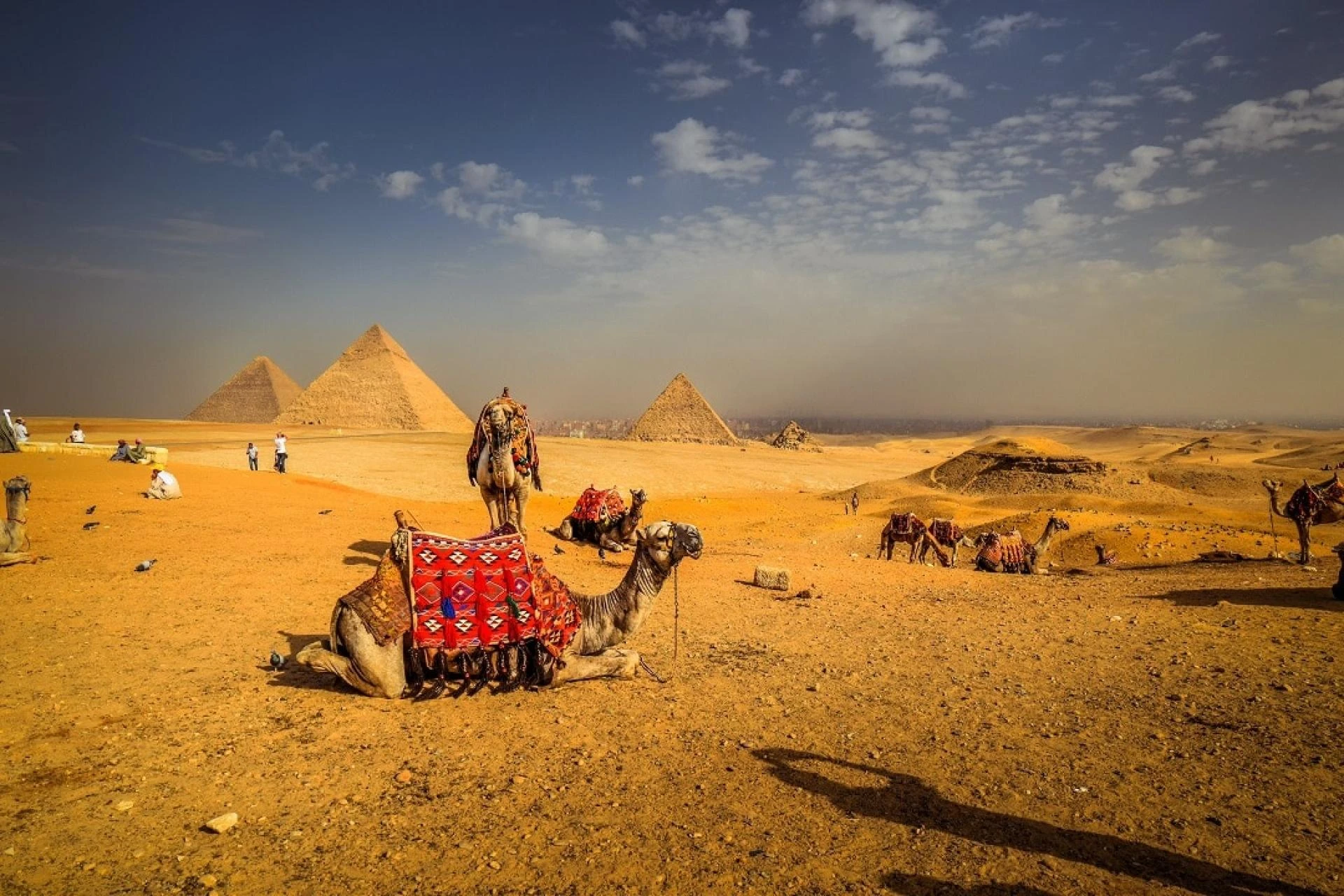 What to Explore While You are Going For an Egypt Tour