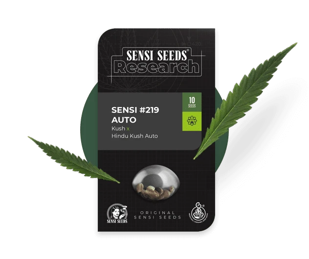What you need to know about cannabis seed packaging?