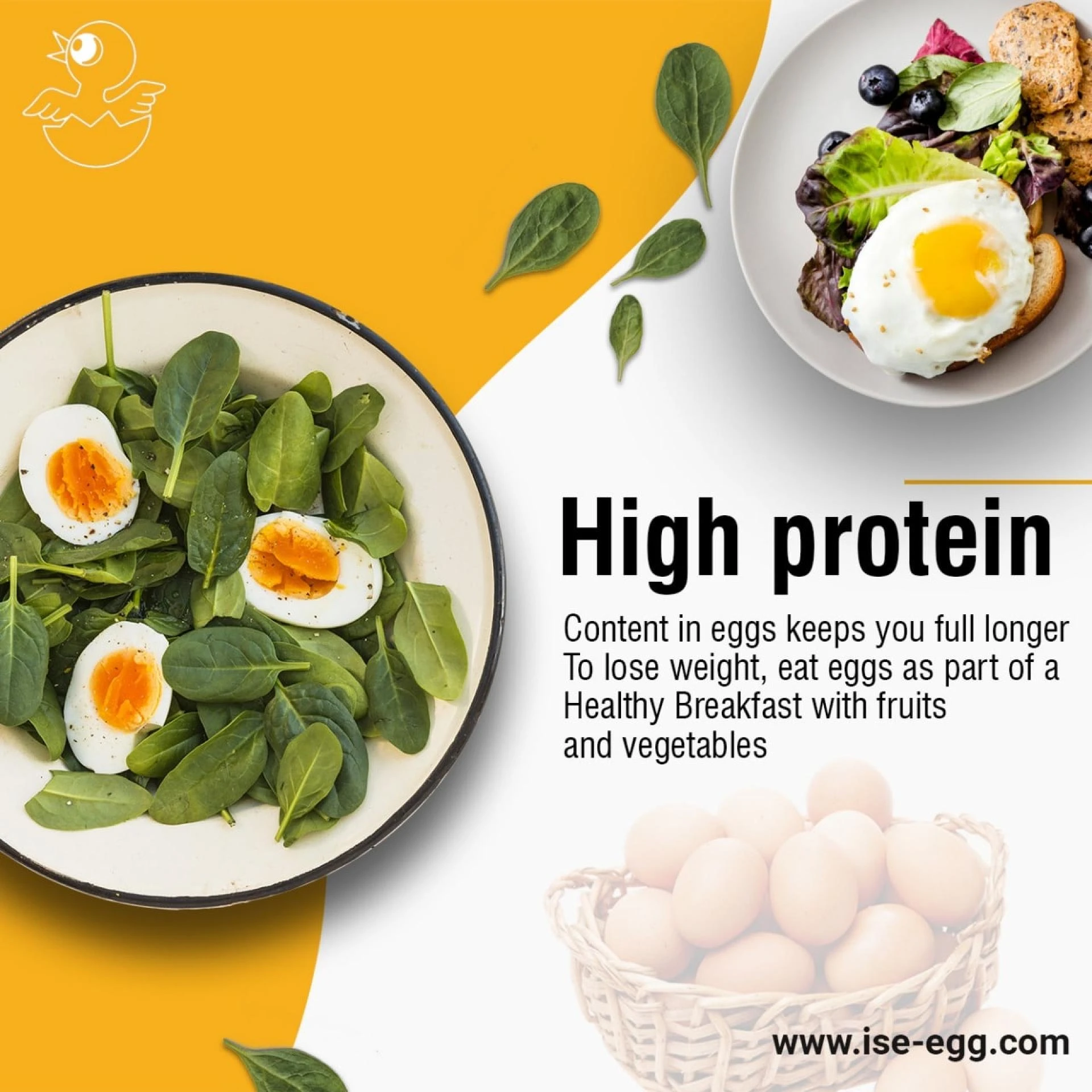 High Protein Breakfast That Help in  Weight Loss