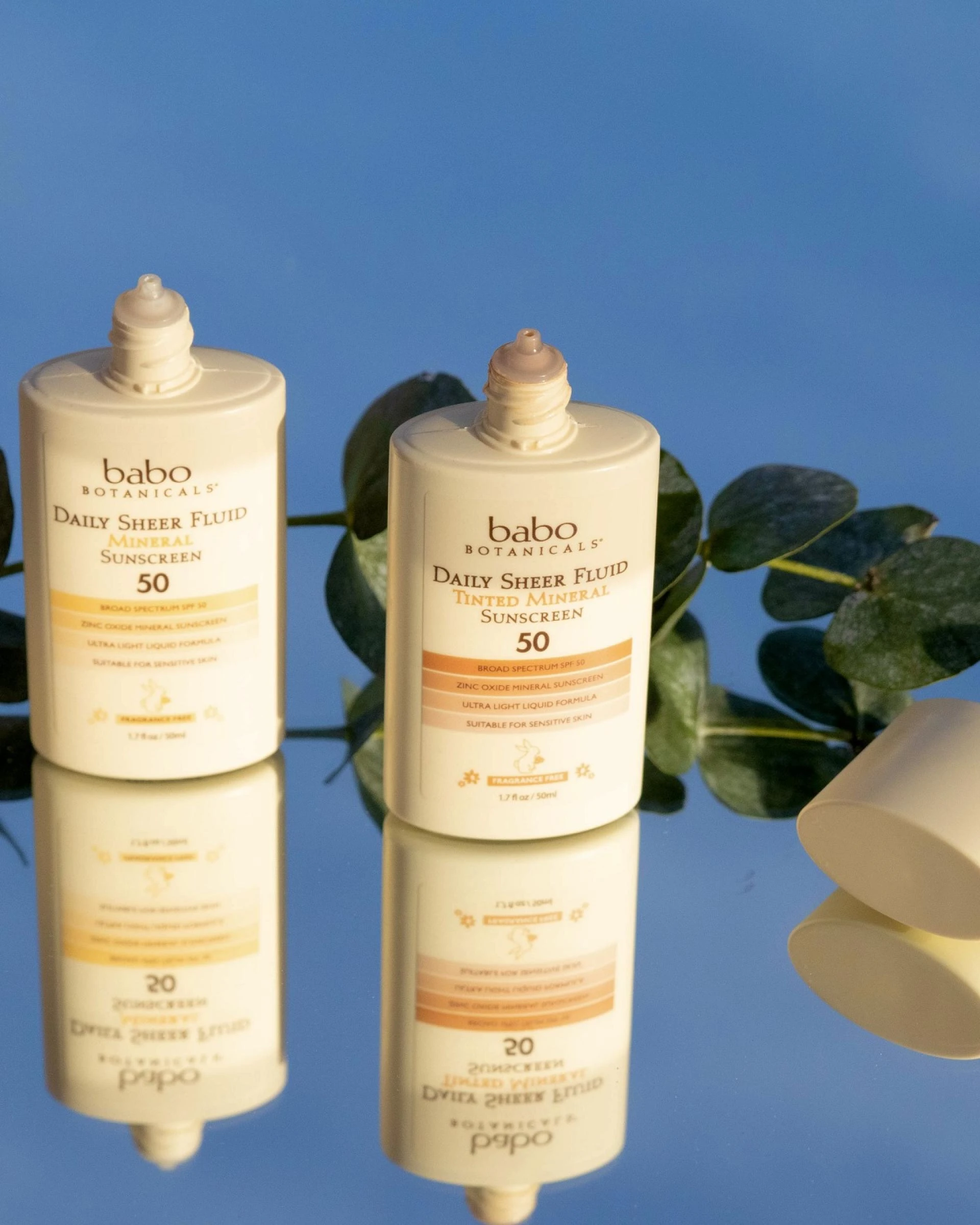 4 Must-Have Plant-Based Ingredients for Daily Skincare Routines