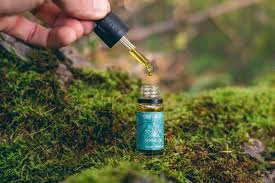 Raise Your Vaping Knowledge: Vape Store Connection Town TX