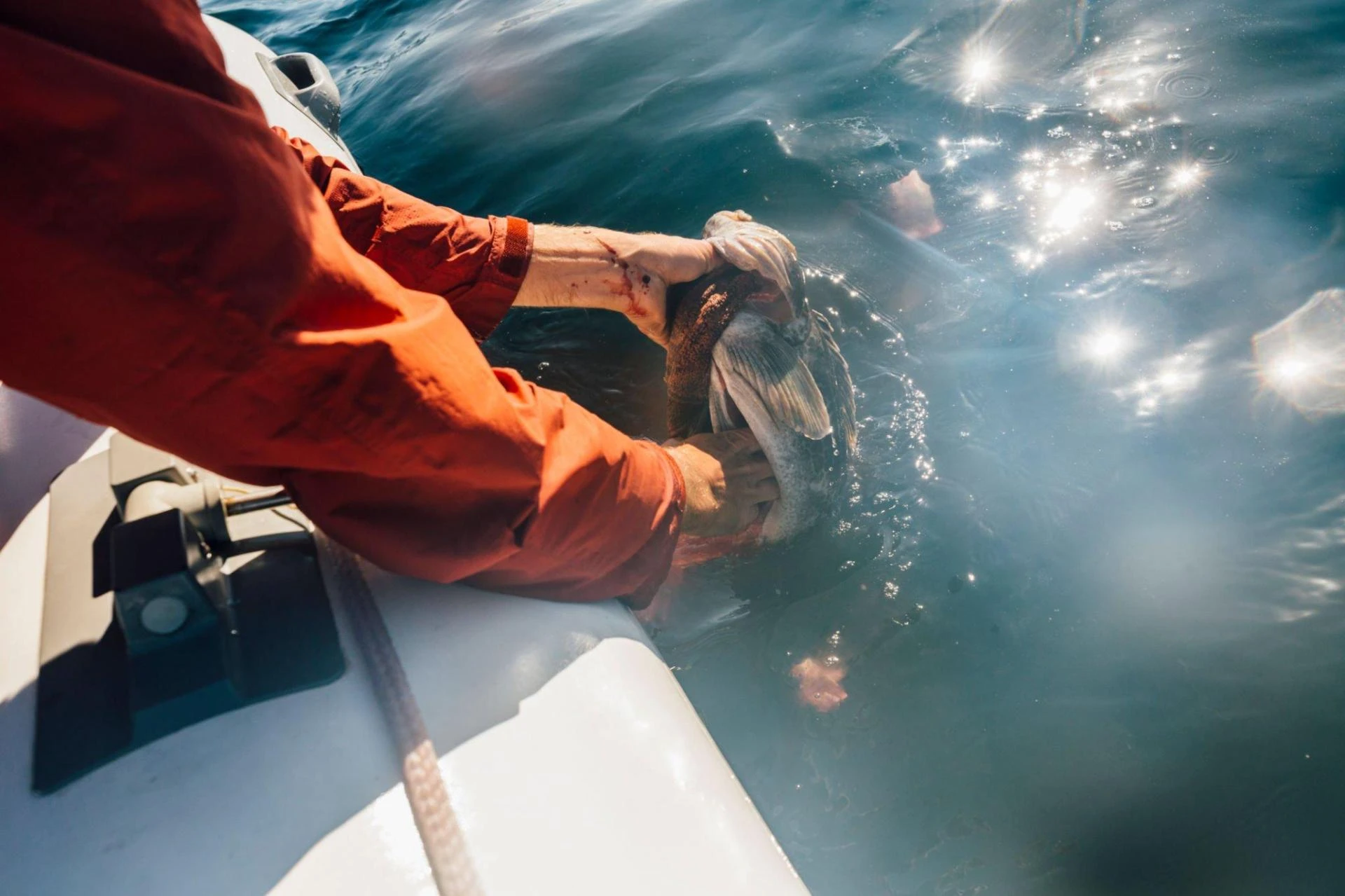 Essential Tips for a Secure Fishing Expedition