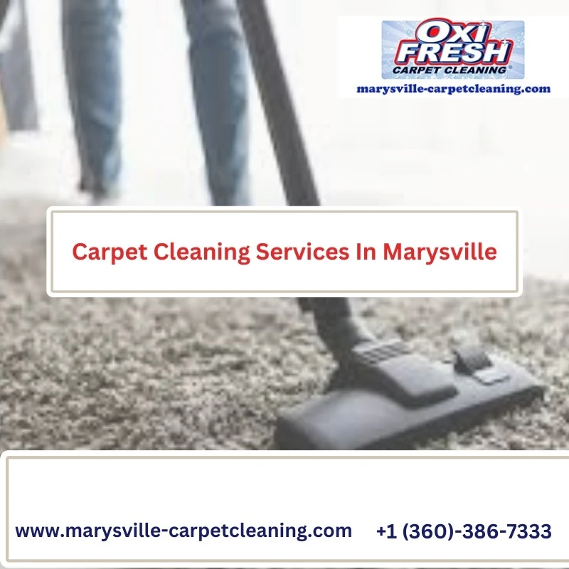 Revitalize Your Space Unveiling Top-Tier Carpet Cleaning Services in Marysville