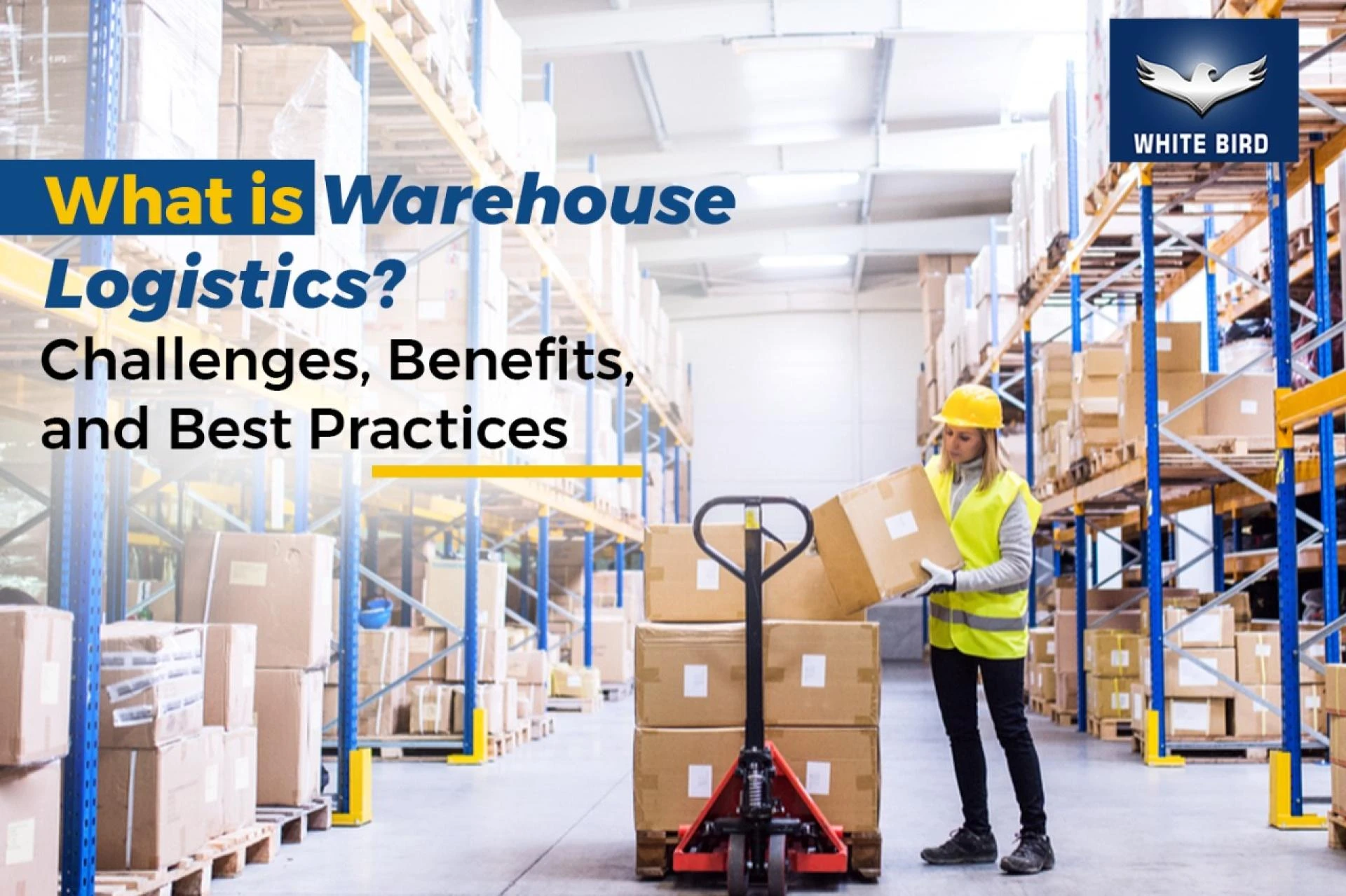 What is Warehouse Logistics? Challenges, Benefits, and Best Practices