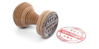 The Best Online Document Translation Service Provider For Visa