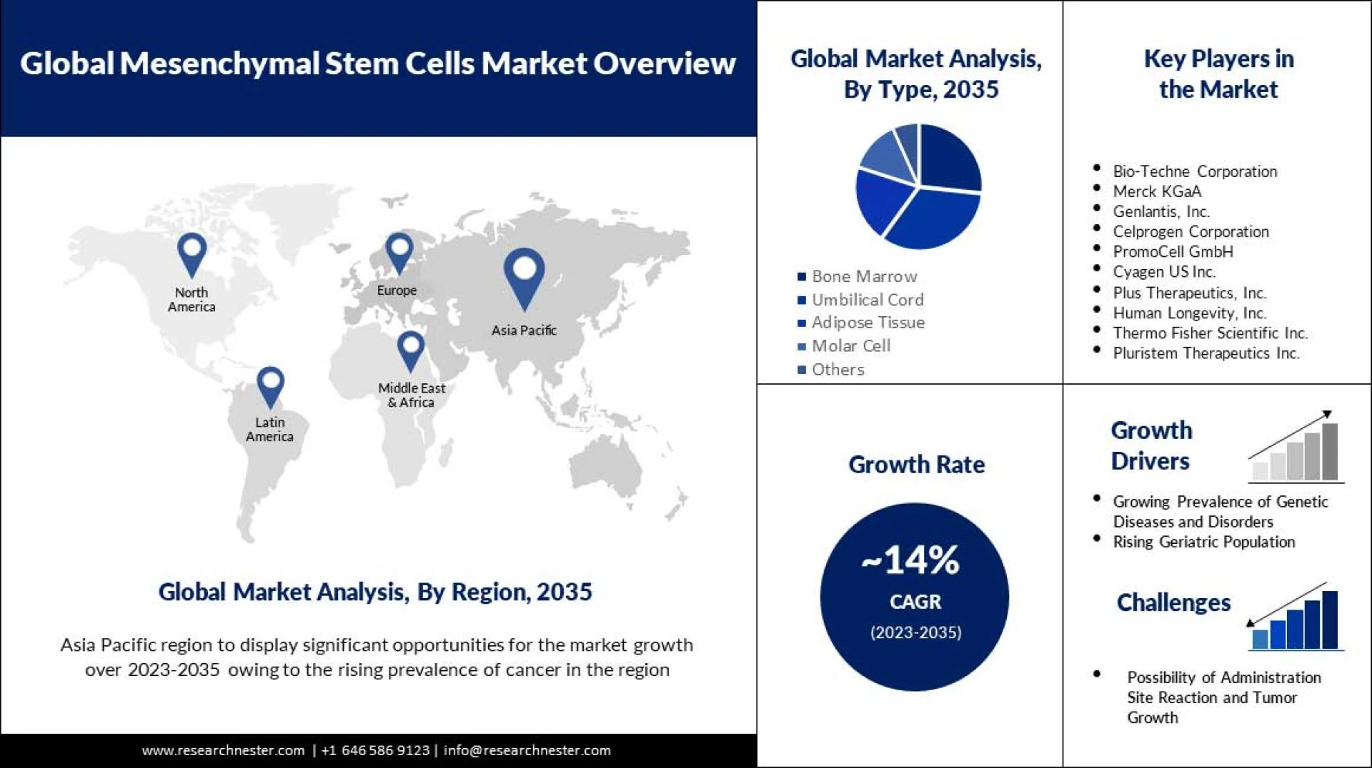 Mesenchymal Stem Cells Market by Research Nester Reveals the Market to Grow with a CAGR of ~14% During 2023-2035