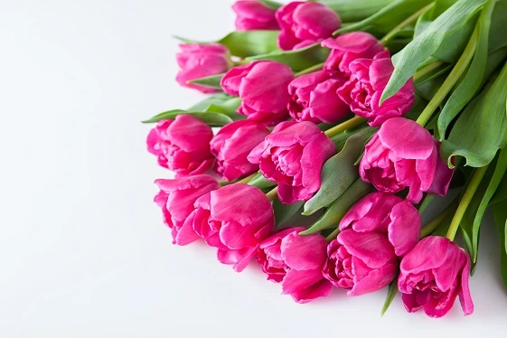 7 Tips to Select Romantic Flowers for a Special Date