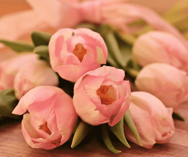 Flowers to Send Your Long-Distance Love