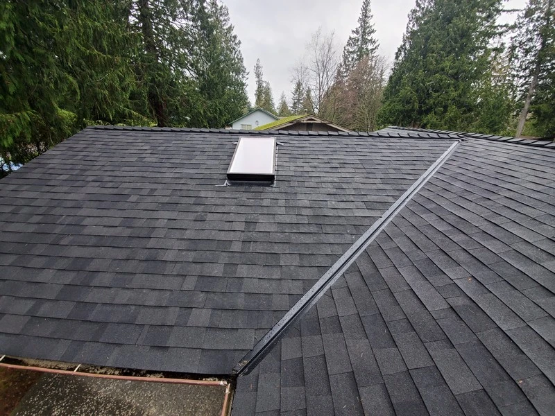 Washington Roofing Company