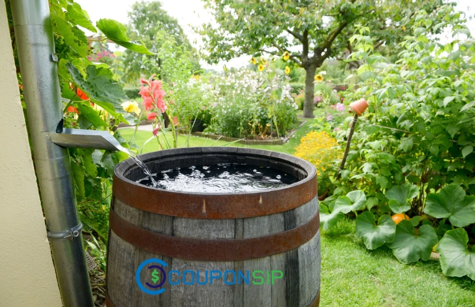 Bring Ice Baths to Your Routine through Ice Barrel