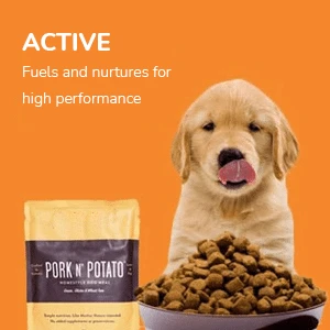 Best Dog Food for Puppies in Australia – Buy Online at Discounted Rates