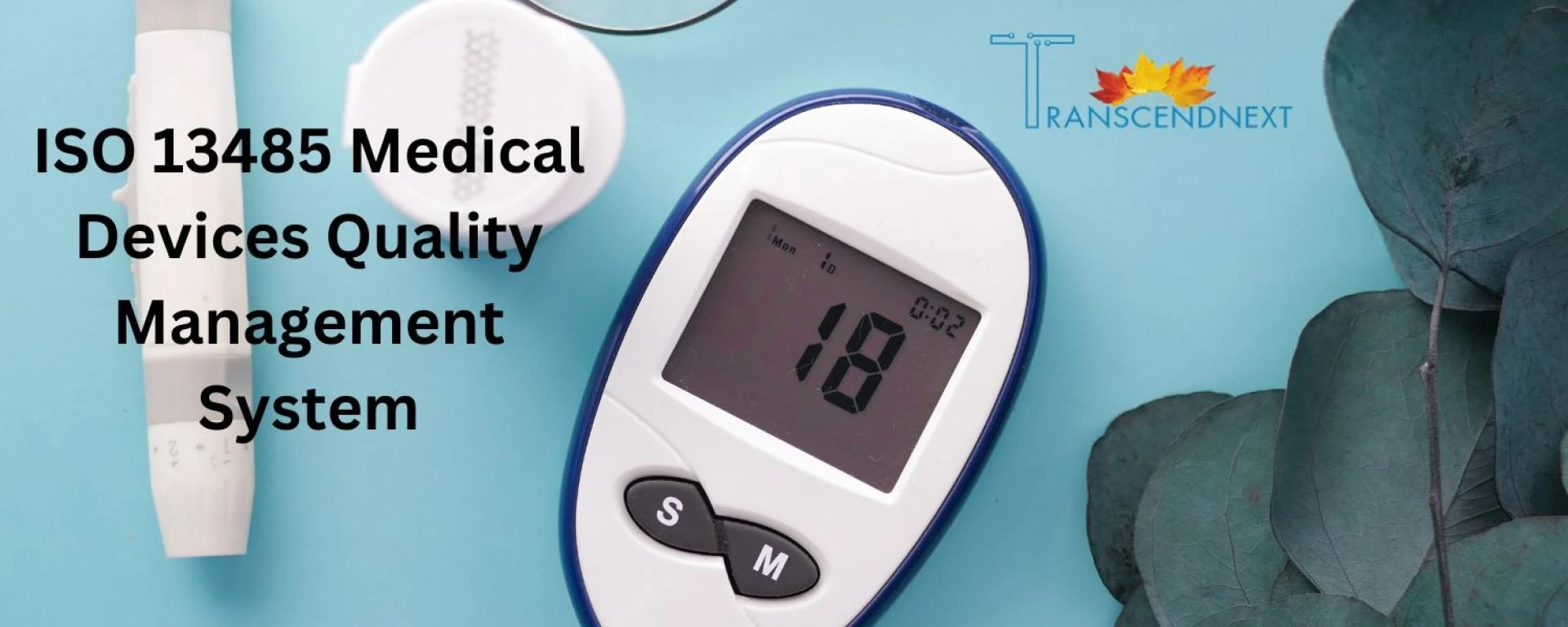 ISO Consultants: The Key to Unlocking Your Business's Potential