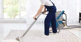 10 reasons why you should hire a professional carpet cleaner