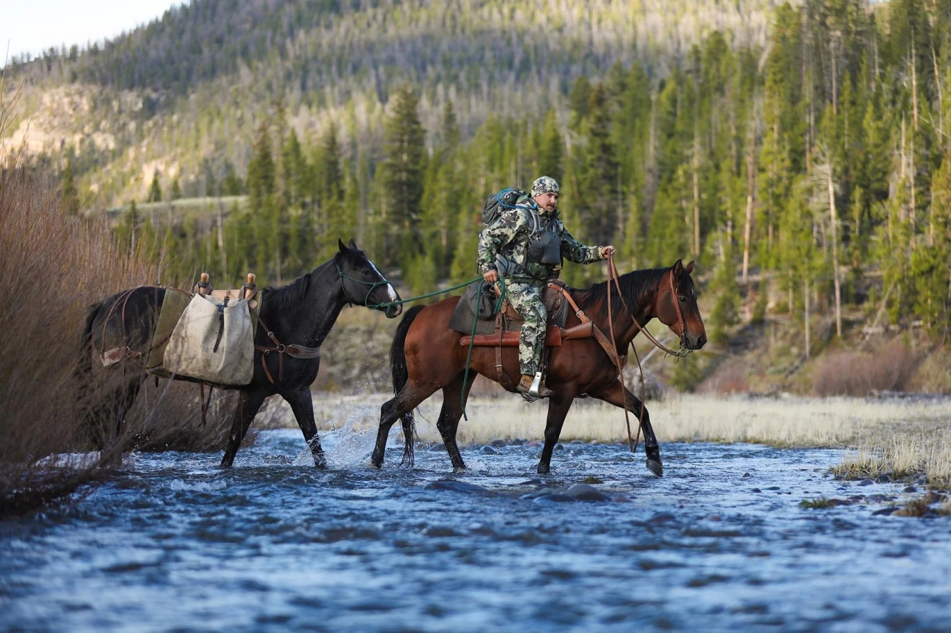 5 Last-Minute Hunting Tasks to Check Off for Whitetail Season