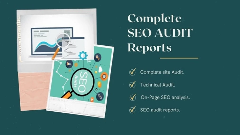 Professional Website Audit
