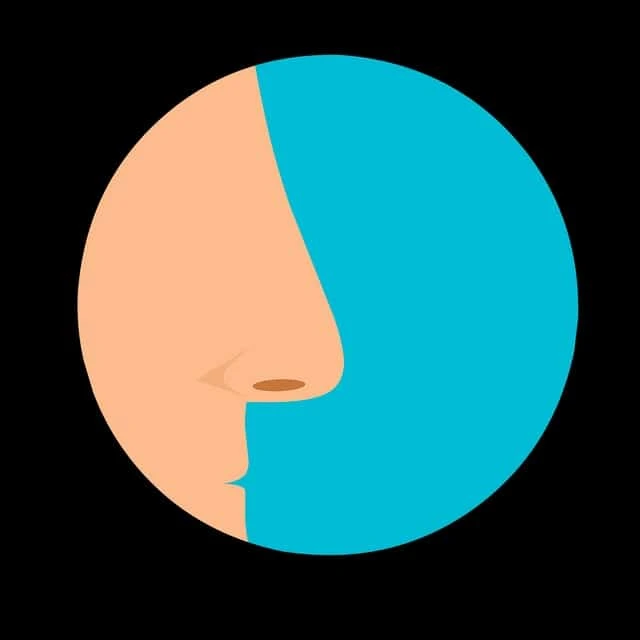 Acute Sinusitis Market: Industry Analysis, Opportunity and Forecast to 2027