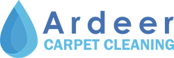 Carpet Stain Removal and Proper Carpet Maintenance: