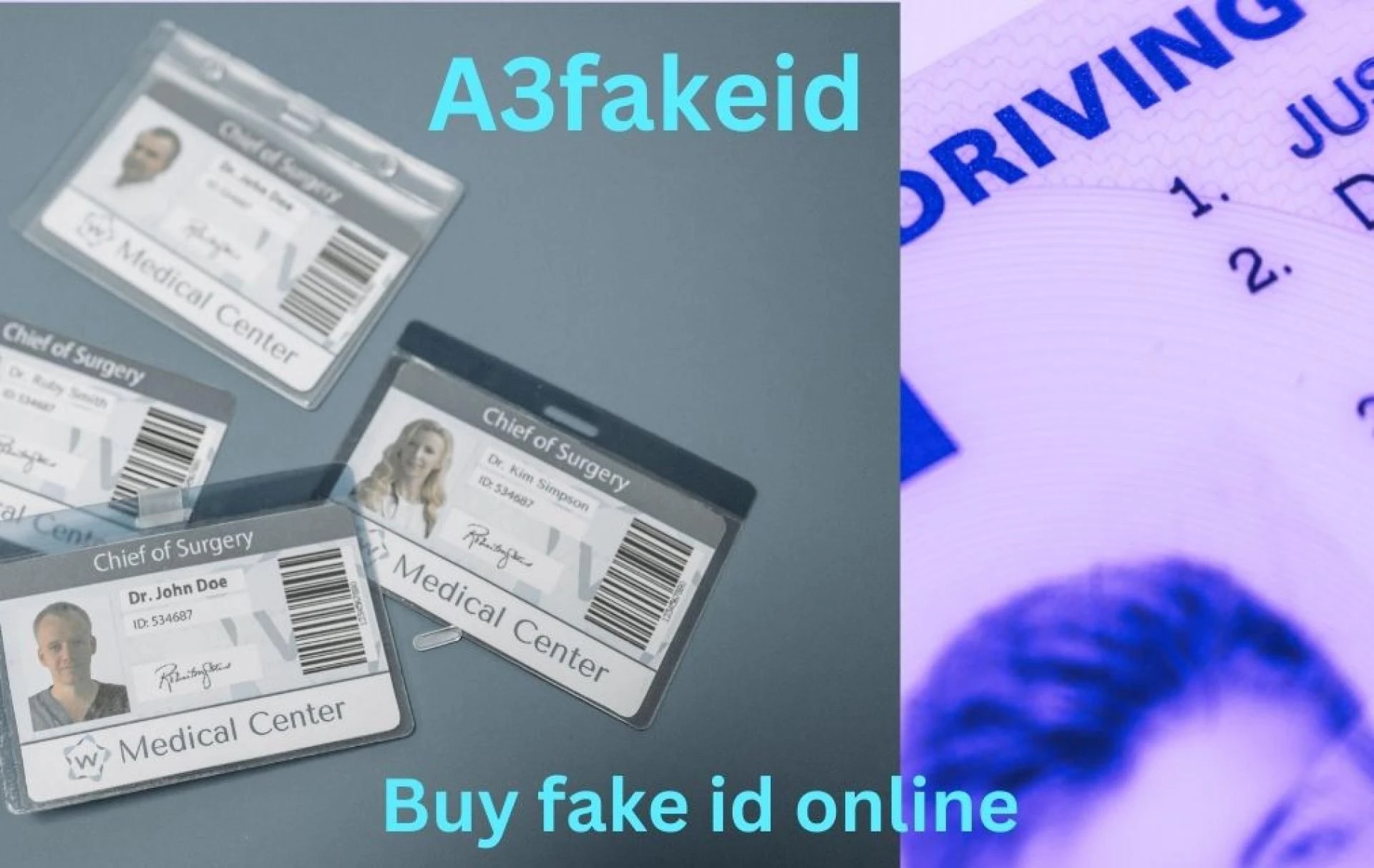 In which country mostly search about Scannable Fake IDs