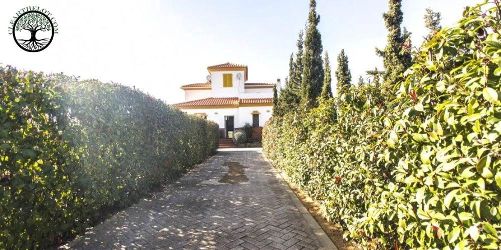 Garden Clearance for Property Sale or Rental